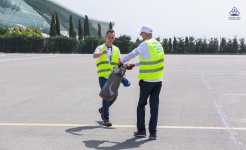 Flight safety: at Baku airport was held the first FOD collection campaign (VIDEO/PHOTO)