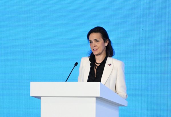 EU needs to adapt its internal energy infrastructure - directorate-general
