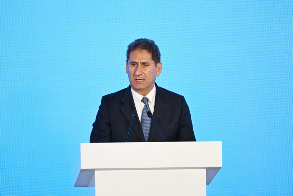 IRENA to host centralized investment forum in Baku during COP29 initial week - DirGen