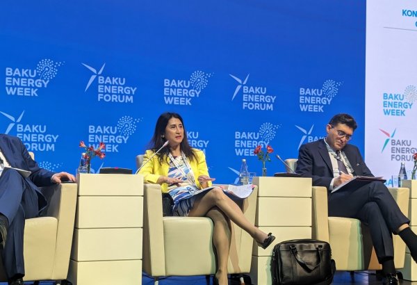 Effective co-op maintained with Azerbaijan under Int'l Energy Charter - Acting SecGen