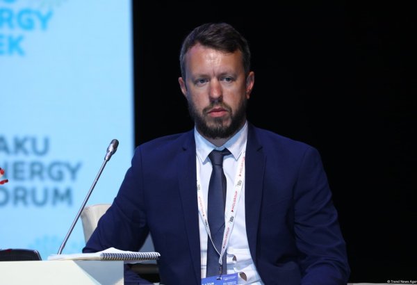 Utilizing digital tools stands crucial for decarbonization - Wood