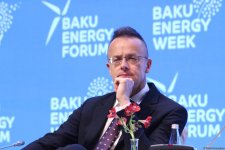 First day of 29th Baku Energy Forum wraps up (PHOTO)