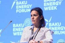 First day of 29th Baku Energy Forum wraps up (PHOTO)