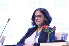 First day of 29th Baku Energy Forum wraps up (PHOTO)