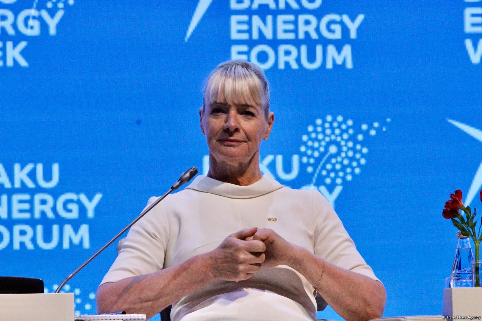 First day of 29th Baku Energy Forum wraps up (PHOTO)