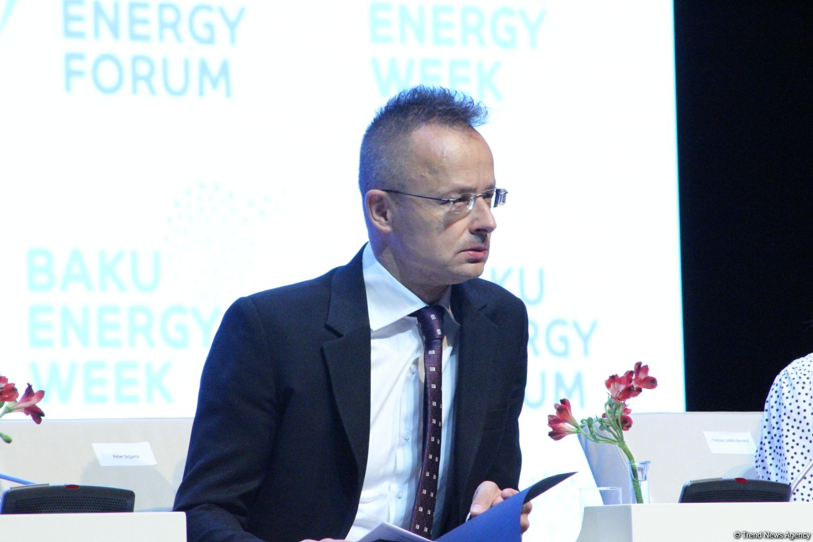 Hungary can minimize CO2 emissions by connecting two nuclear reactors - FM