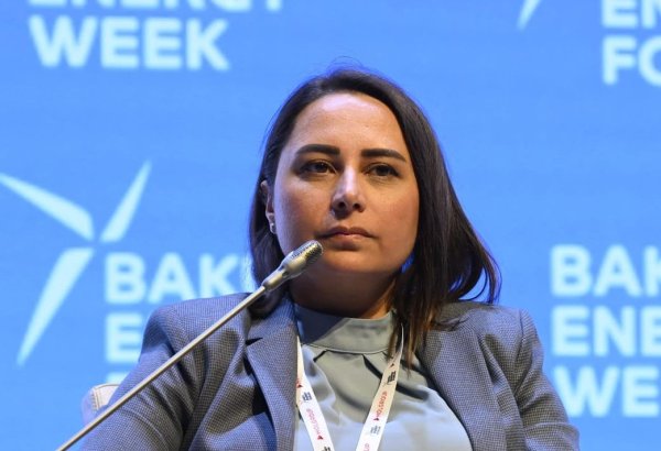 Investing in human resources essential for successful energy transition - bp