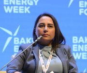 29th Baku Energy Forum wraps up (PHOTO)