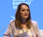 29th Baku Energy Forum wraps up (PHOTO)