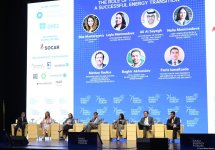 29th Baku Energy Forum wraps up (PHOTO)