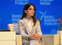Завершился Бакинский энергетический форум (Обновлено) (ФОТО)