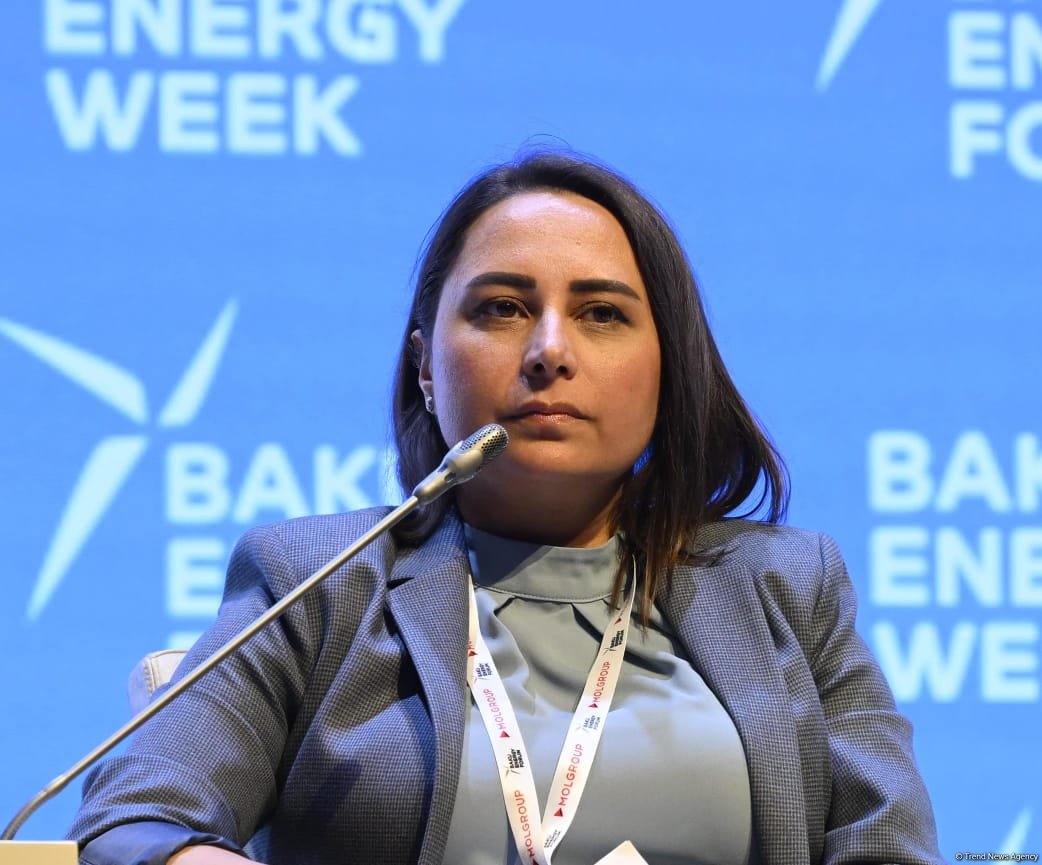 Investing in human resources essential for successful energy transition - bp