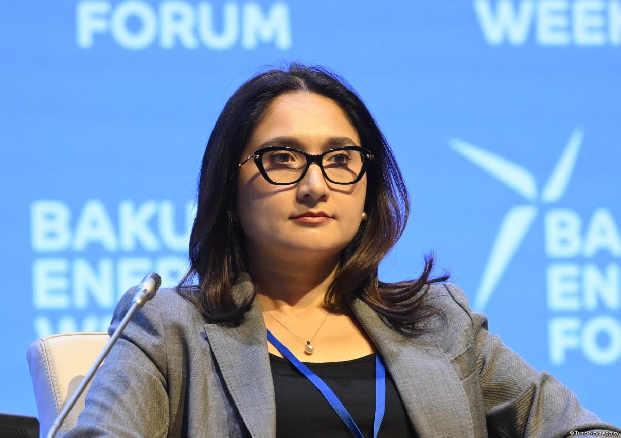 29th Baku Energy Forum wraps up (PHOTO)