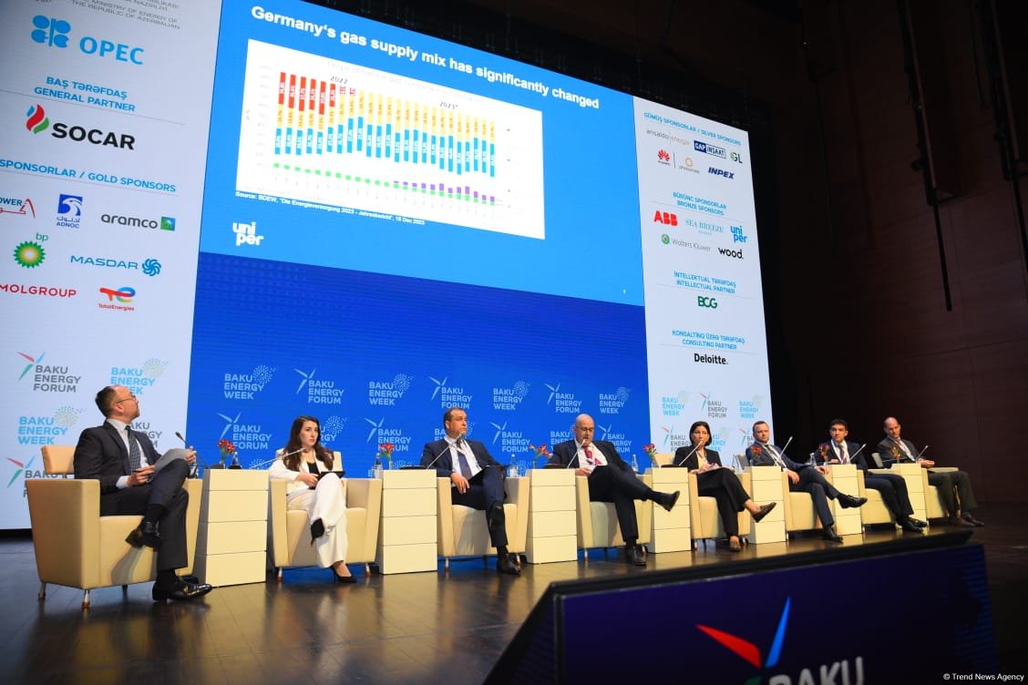 29th Baku Energy Forum wraps up (PHOTO)