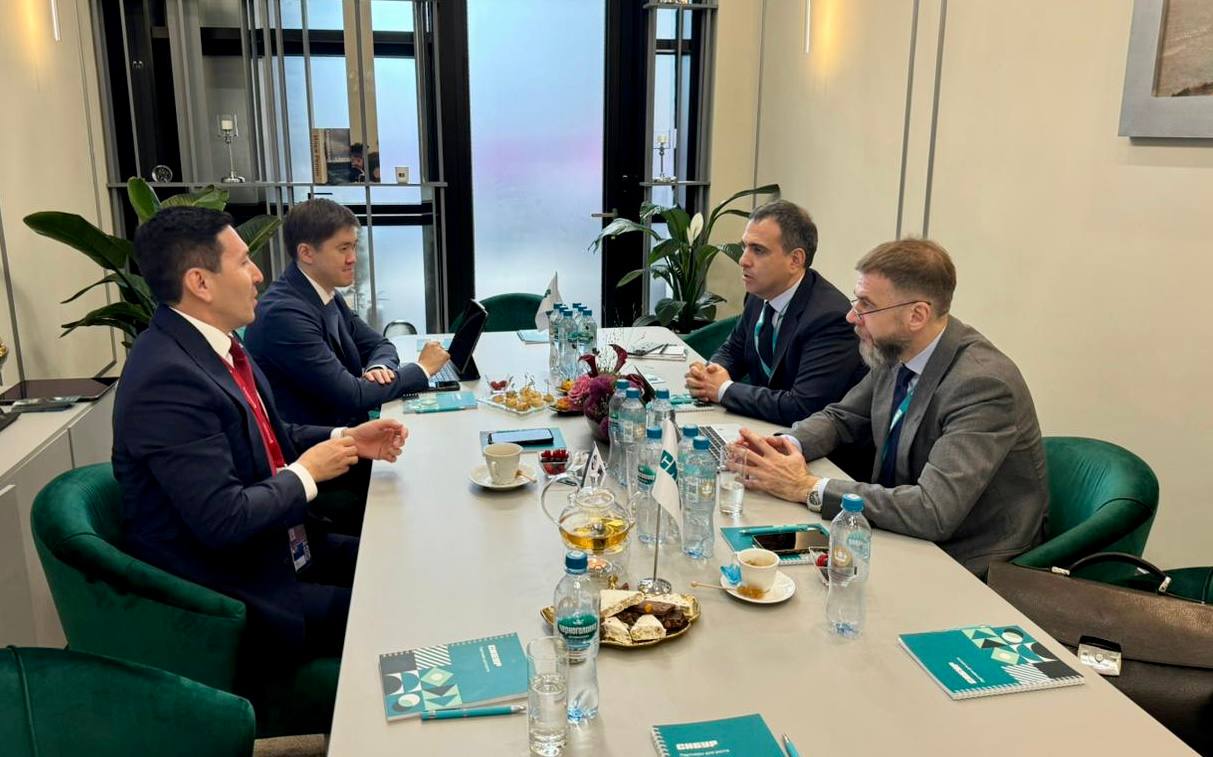 Samruk-Kazyna, SIBUR discuss next stages of polyethylene production project