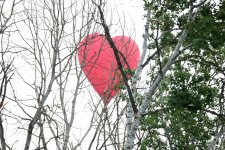 В Шамахы проходит Фестиваль воздушных шаров (ФОТО/ВИДЕО)