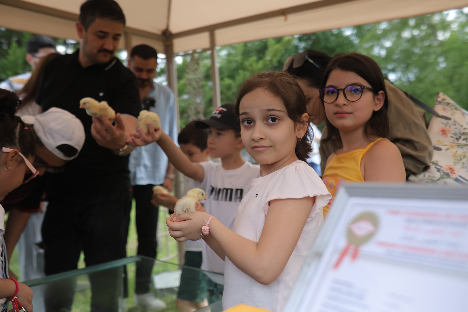 Balloon Festival continues in Azerbaijan's Shamakhi (PHOTO/VIDEO)