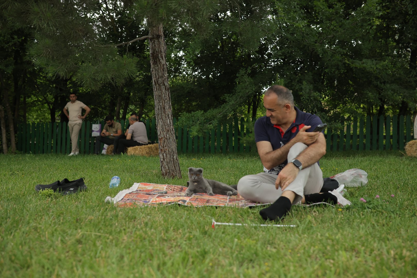 Balloon Festival continues in Azerbaijan's Shamakhi (PHOTO/VIDEO)