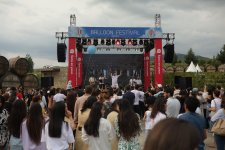Balloon Festival continues in Azerbaijan's Shamakhi (PHOTO/VIDEO)