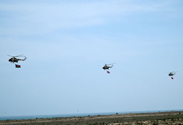 Caucasian Eagle-2024 exercise holds Distinguished Visitors Day (PHOTO)