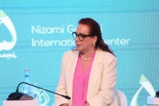 29th High-Level Meeting - "Pathway to COP29: Sustainable and Resilient Future" in Baku proceeds with panel discussions (UPDATED) (PHOTO)