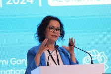 29th High-Level Meeting - "Pathway to COP29: Sustainable and Resilient Future" in Baku proceeds with panel discussions (UPDATED) (PHOTO)