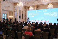 29th High-Level Meeting - "Pathway to COP29: Sustainable and Resilient Future" in Baku proceeds with panel discussions (UPDATED) (PHOTO)