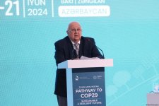 29th High-Level Meeting - "Pathway to COP29: Sustainable and Resilient Future" in Baku proceeds with panel discussions (UPDATED) (PHOTO)