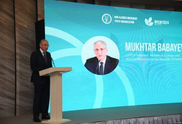 Azerbaijani ecology minister outlines tasks of COP29 presidency