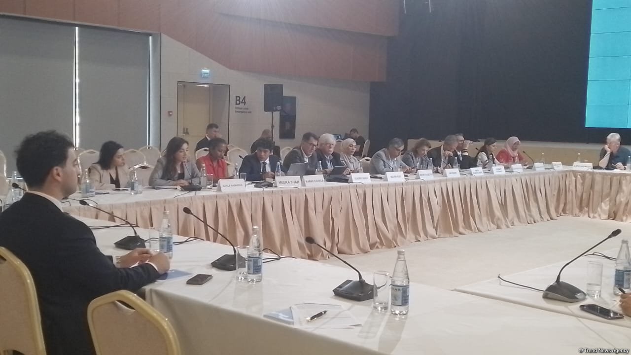 В Зангилане завершилось заседание высокого уровня "Дорога к COP29: устойчивое и прочное будущее"  (ОБНОВЛЕНО) (ФОТО)