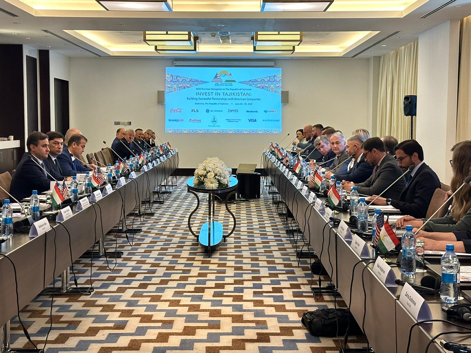 Tajikistan, US explore investment opportunities across multiple sectors