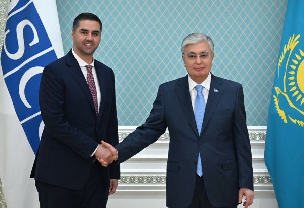 Kazakh leader and OSCE's chairperson-in-office discuss bilateral agenda