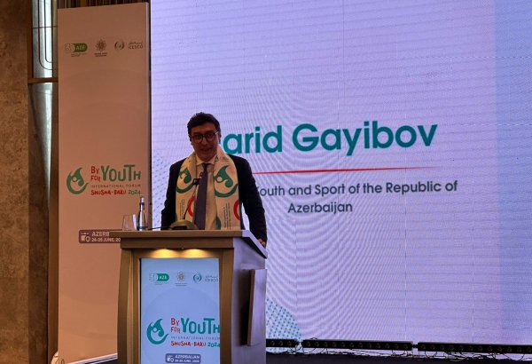 Various opportunities available for youth development in regions - Azerbaijani minister