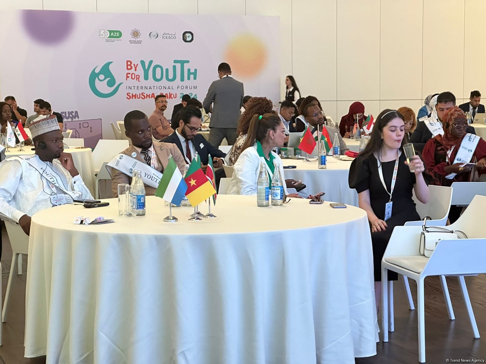 Azerbaijan's Baku wraps up By Youth for Youth int'l forum (PHOTO)