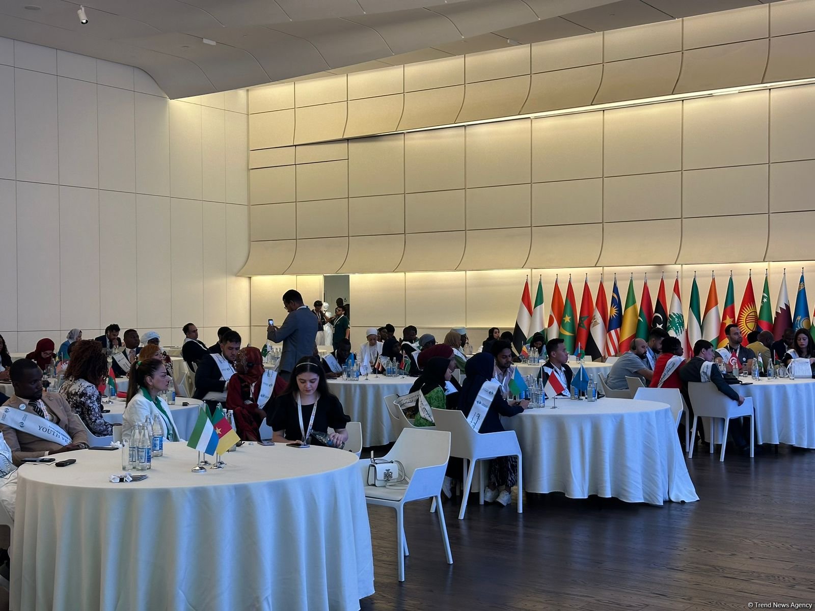 Azerbaijan's Baku wraps up By Youth for Youth int'l forum (PHOTO)