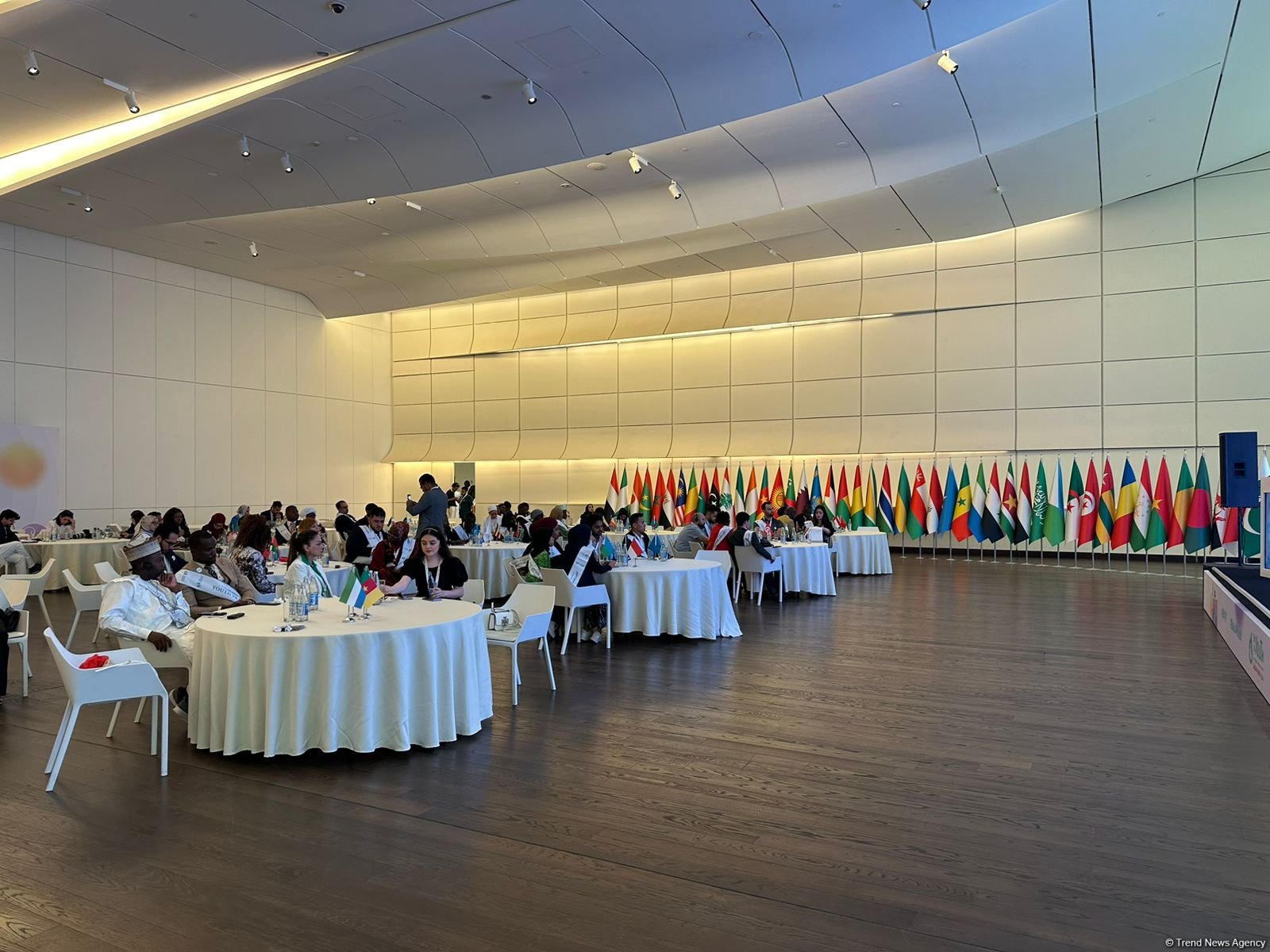 Azerbaijan's Baku wraps up By Youth for Youth int'l forum (PHOTO)