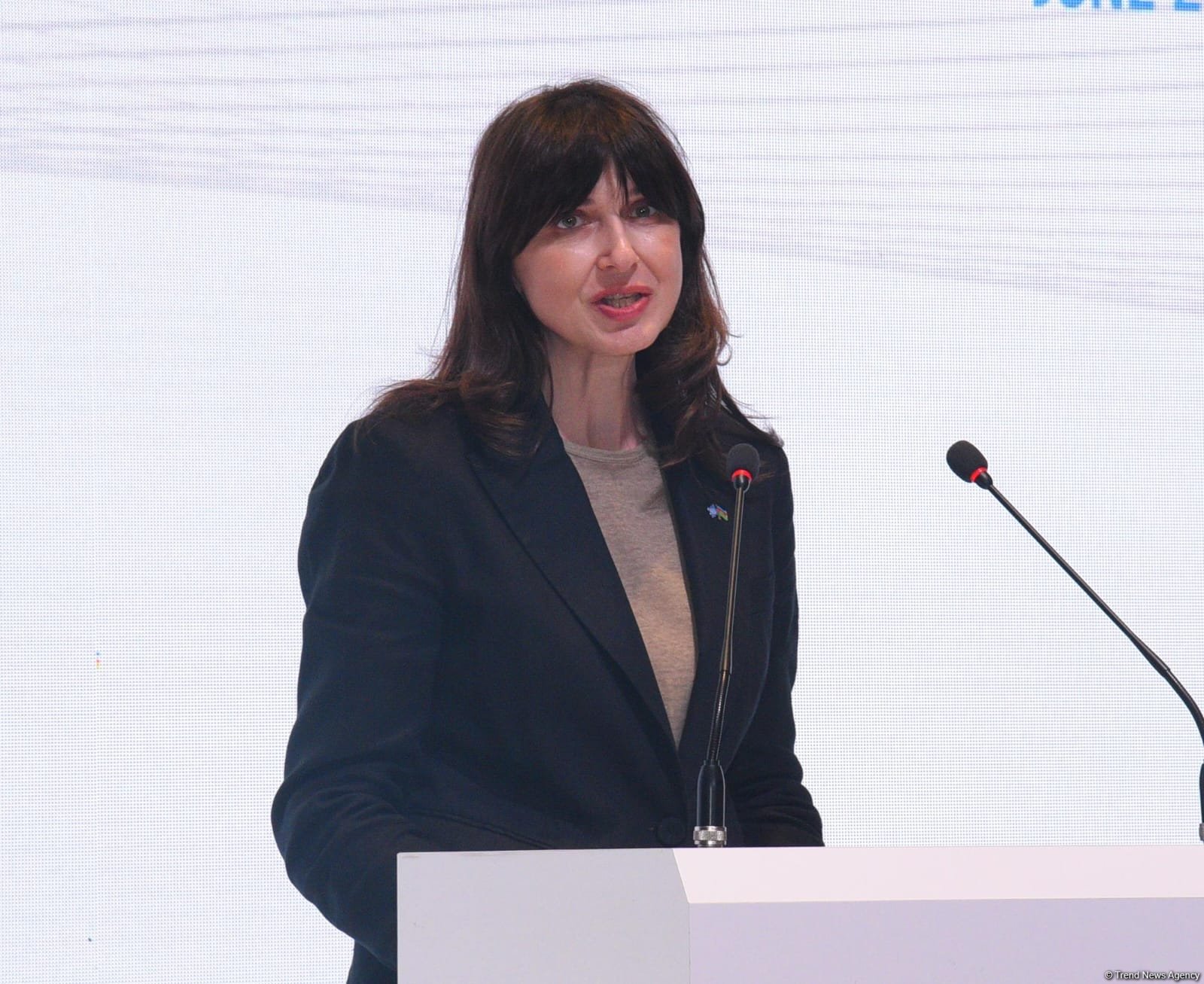 Владанка Андреева направила поздравительное письмо Президенту Ильхаму Алиеву