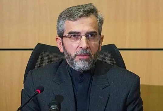 Iran's acting FM casts his vote in presidential election