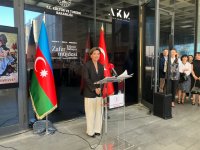 В Стамбуле открылась выставка азербайджанского художника Эльданиза Бабаева (ФОТО)