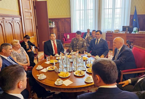 Azerbaijani defense minister meets with deputy chairman of Hungarian national assembly (PHOTO)