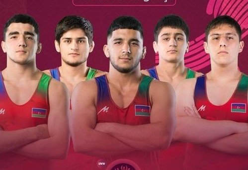 Azerbaijani wrestler advances to European wrestling final in Serbia