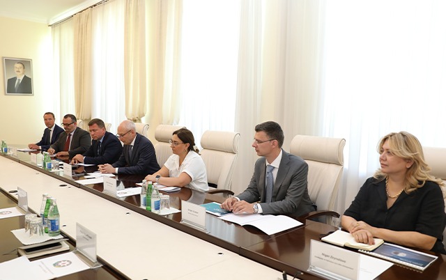 Azerbaijan's health minister meets with Philips' director for digital health (PHOTO)