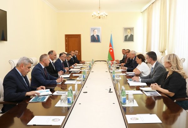 Azerbaijan's health minister meets with Philips' director for digital health (PHOTO)