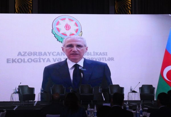 COP29 President addresses participants of ESG Summit in Baku