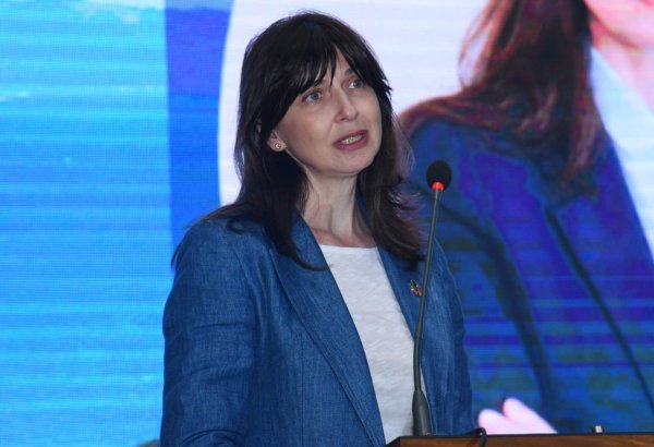 COP29 to become key event for carrying out 2030 SDGs - UN's official