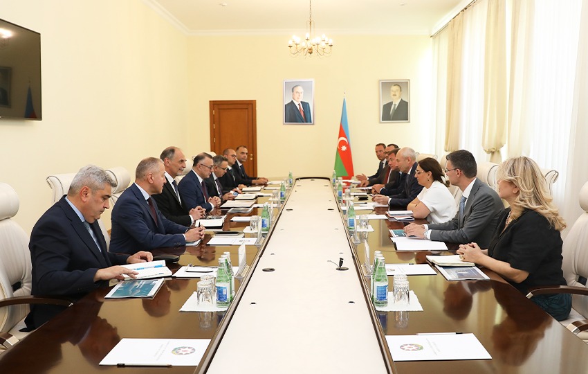 Azerbaijan's health minister meets with Philips' director for digital health (PHOTO)