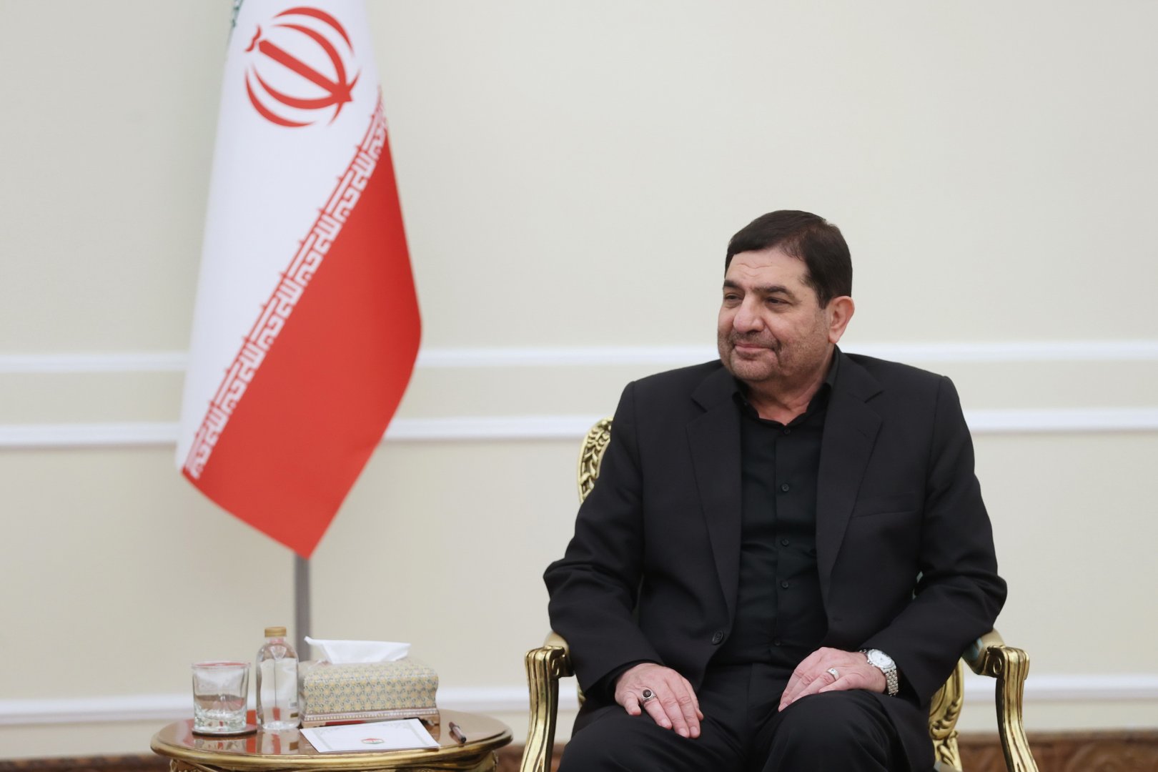 Iran's First VP votes in early presidential election's second round