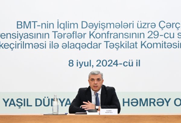 Azerbaijan forms international advisory committee for COP29