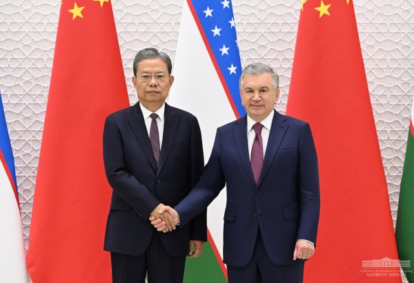 Uzbekistan, China discuss construction of Kyrgyzstan-crossing railroad