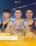 Azerbaijani gymnasts win eight medals in Portugal (PHOTO)